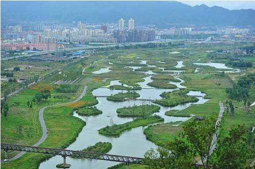 门头沟修复永定河生态廊道 河畔烧烤点变亲水绿地