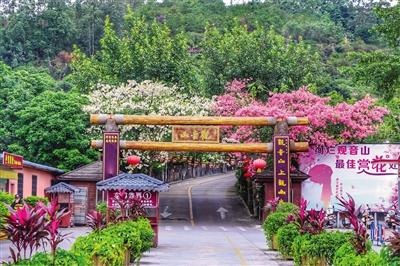 众多经济专家把脉问诊旅游景区发展问题广东观音山景区成“解剖”样本